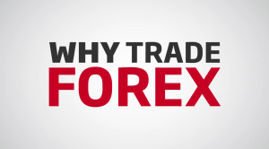 successful forex traders in kenya